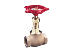 pegler Bronze globe valve